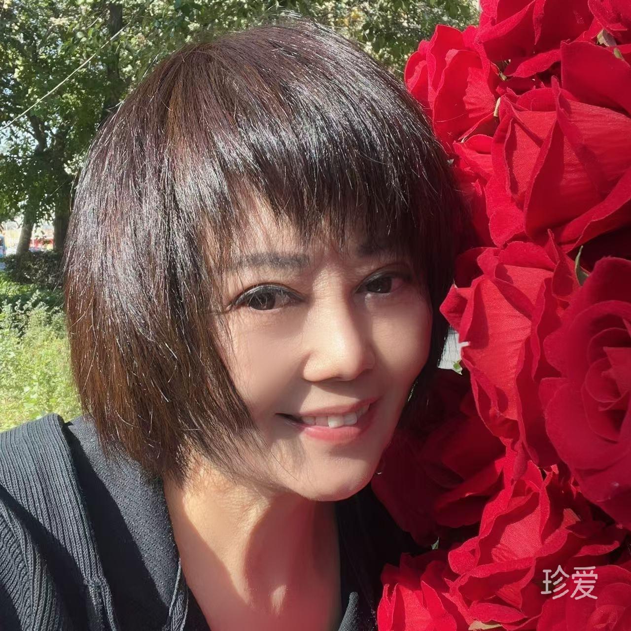 橄榄枝