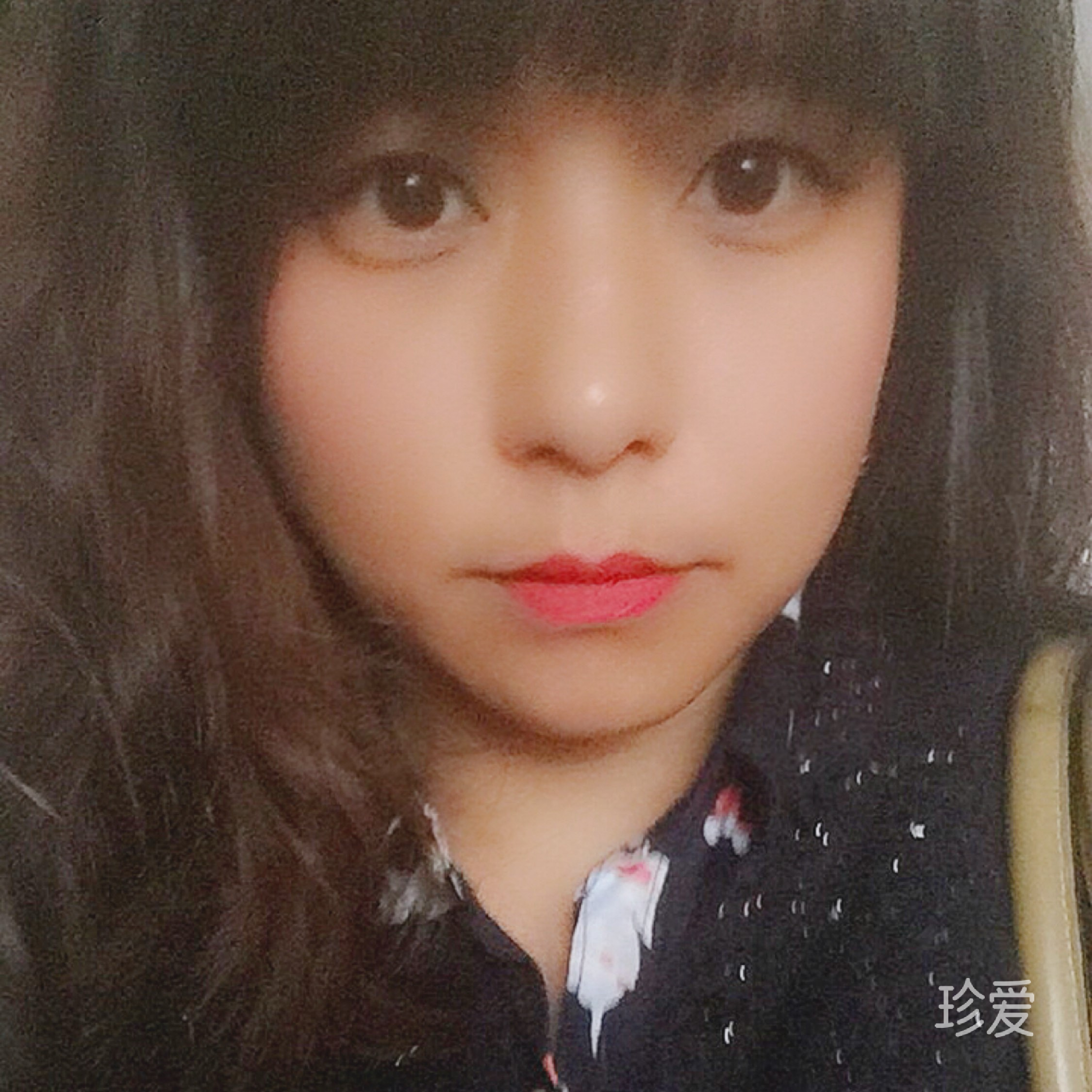 斯斯