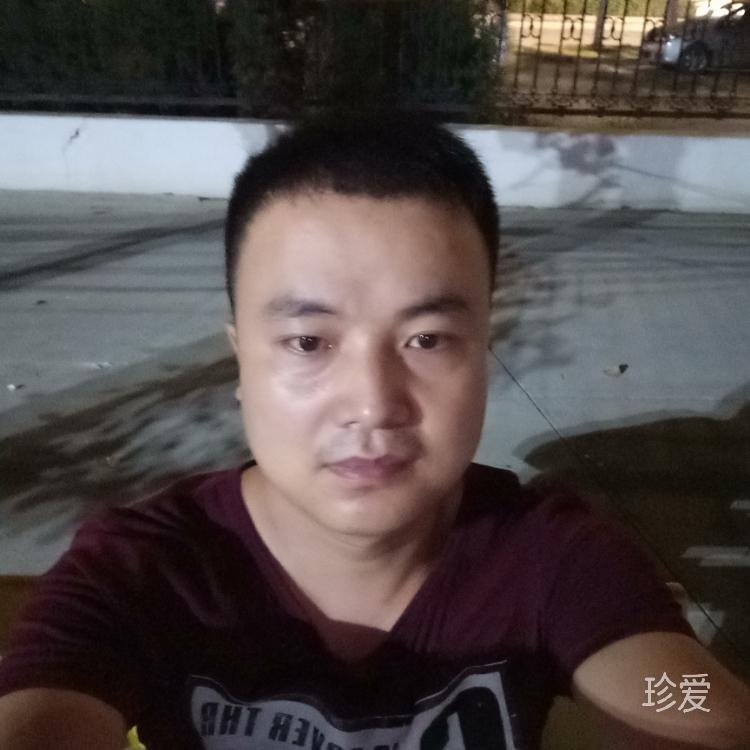 小杨