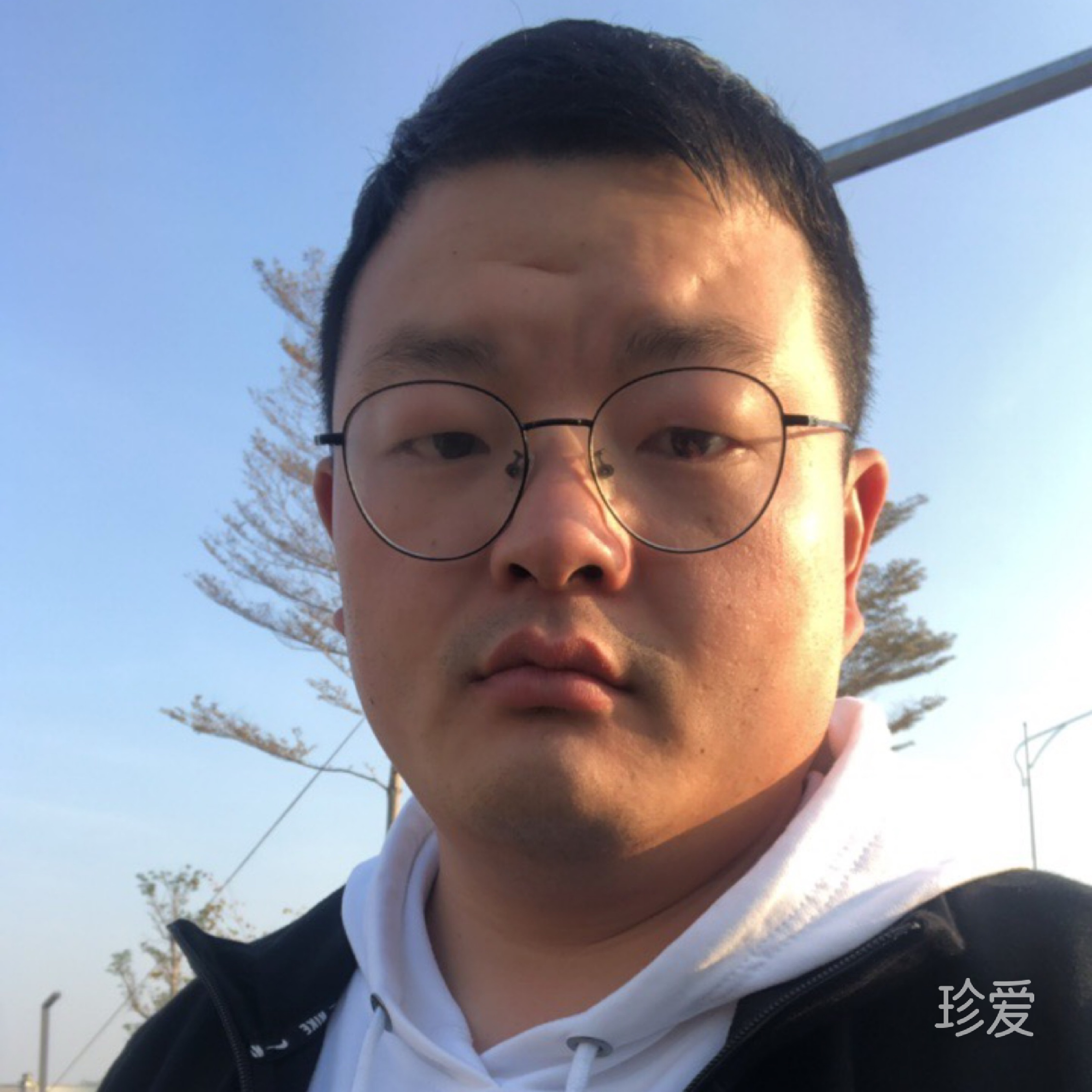平淡而平凡