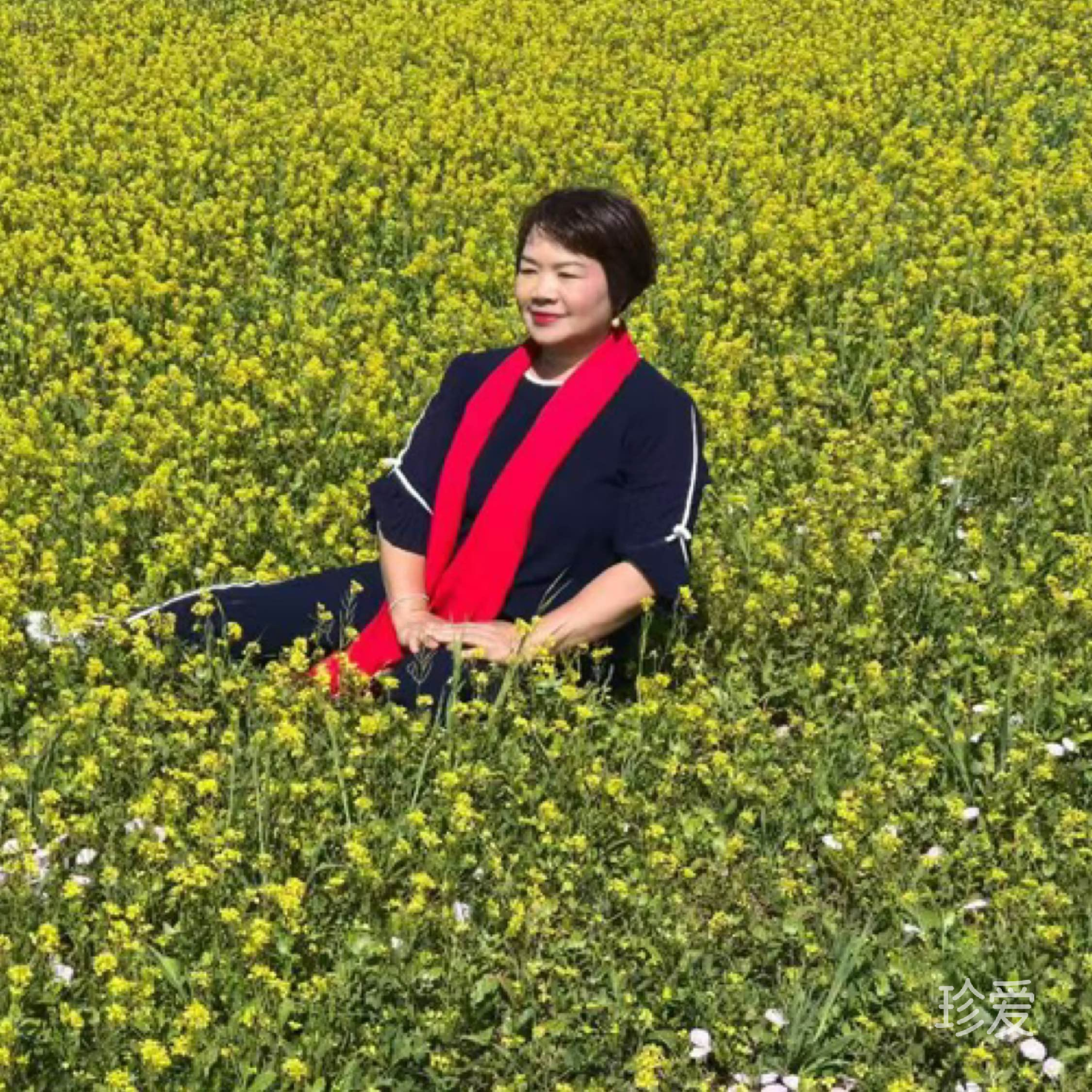 紫贝壳