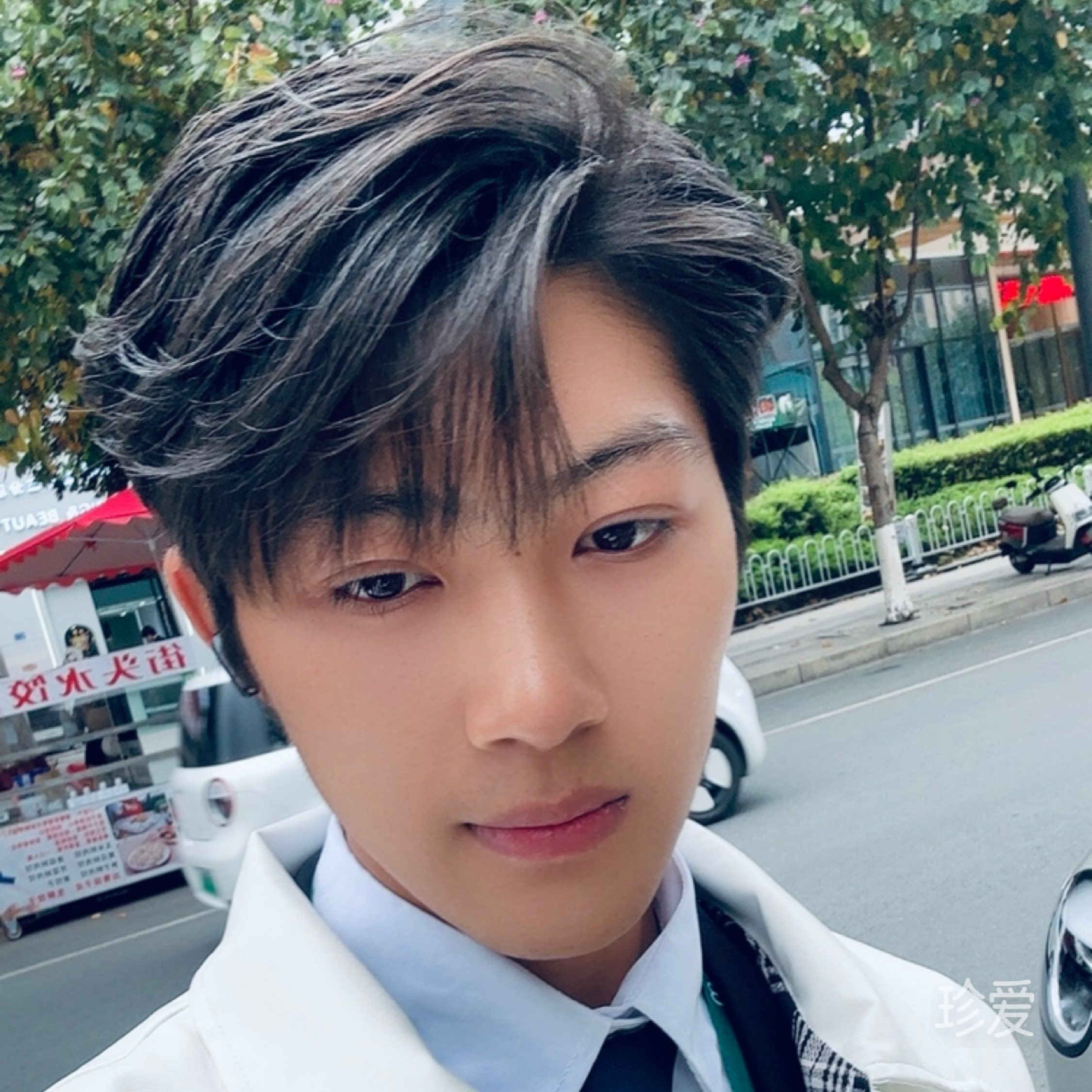 MrGao