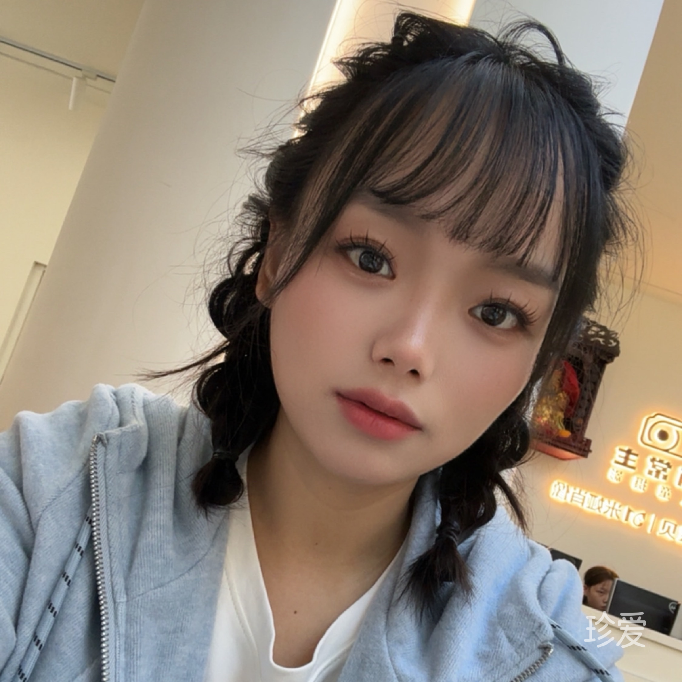 寻找爱的蒲公英