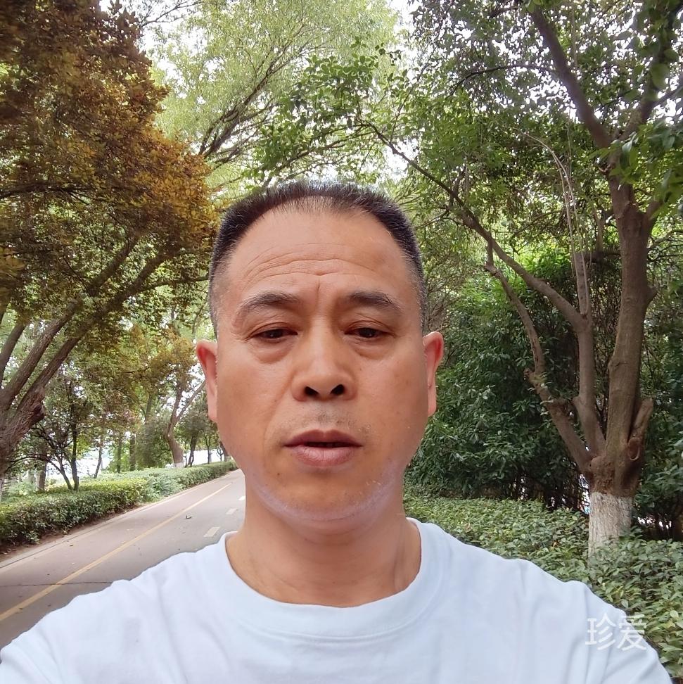 懂你的忧伤