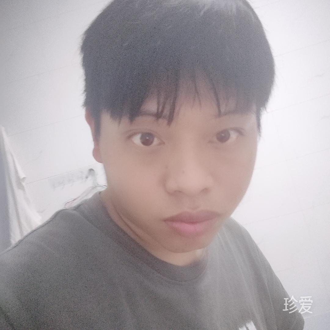 我愿化作风