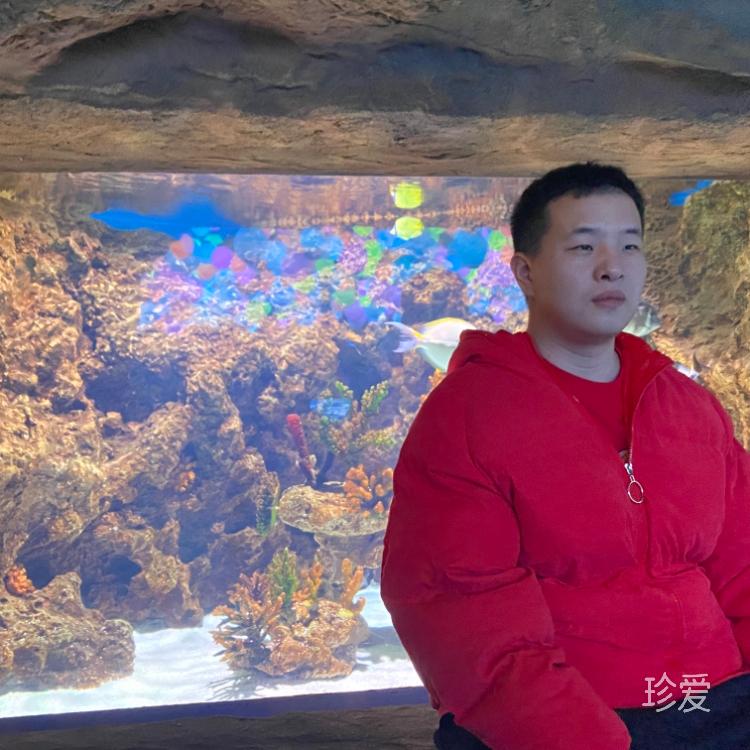 一个身为吃货的打