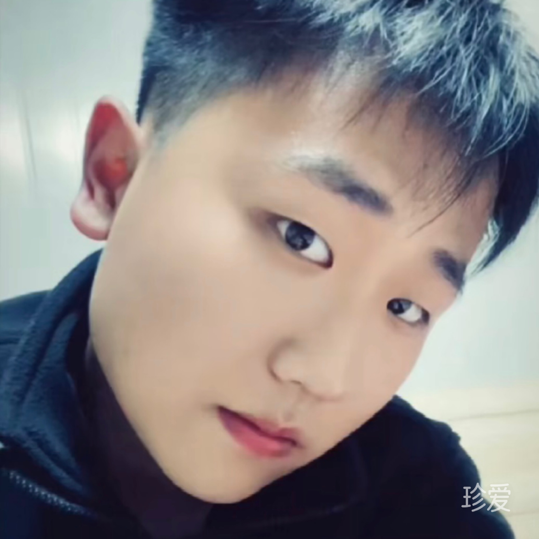 鲨鱼