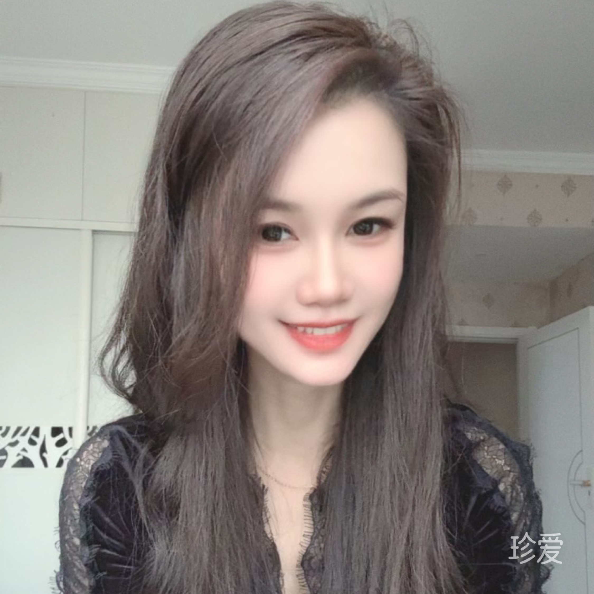 绚丽玫瑰