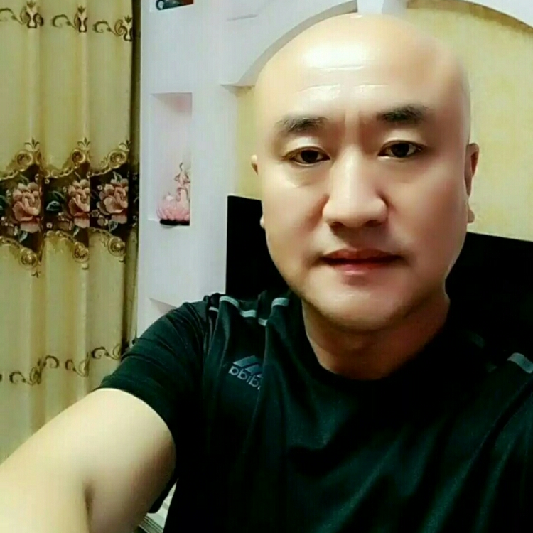 子龙