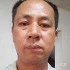 紫駱駝