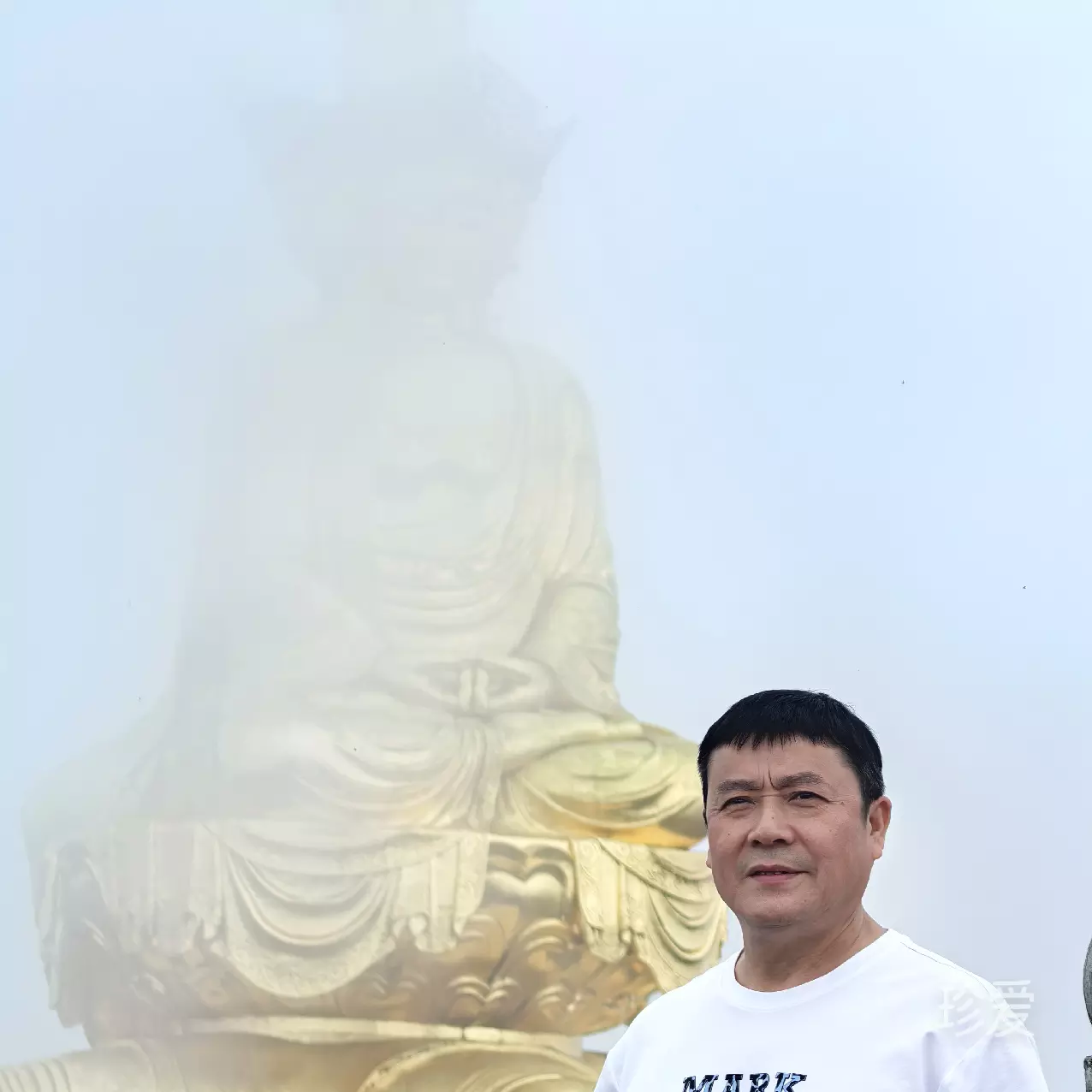 萝卜白菜