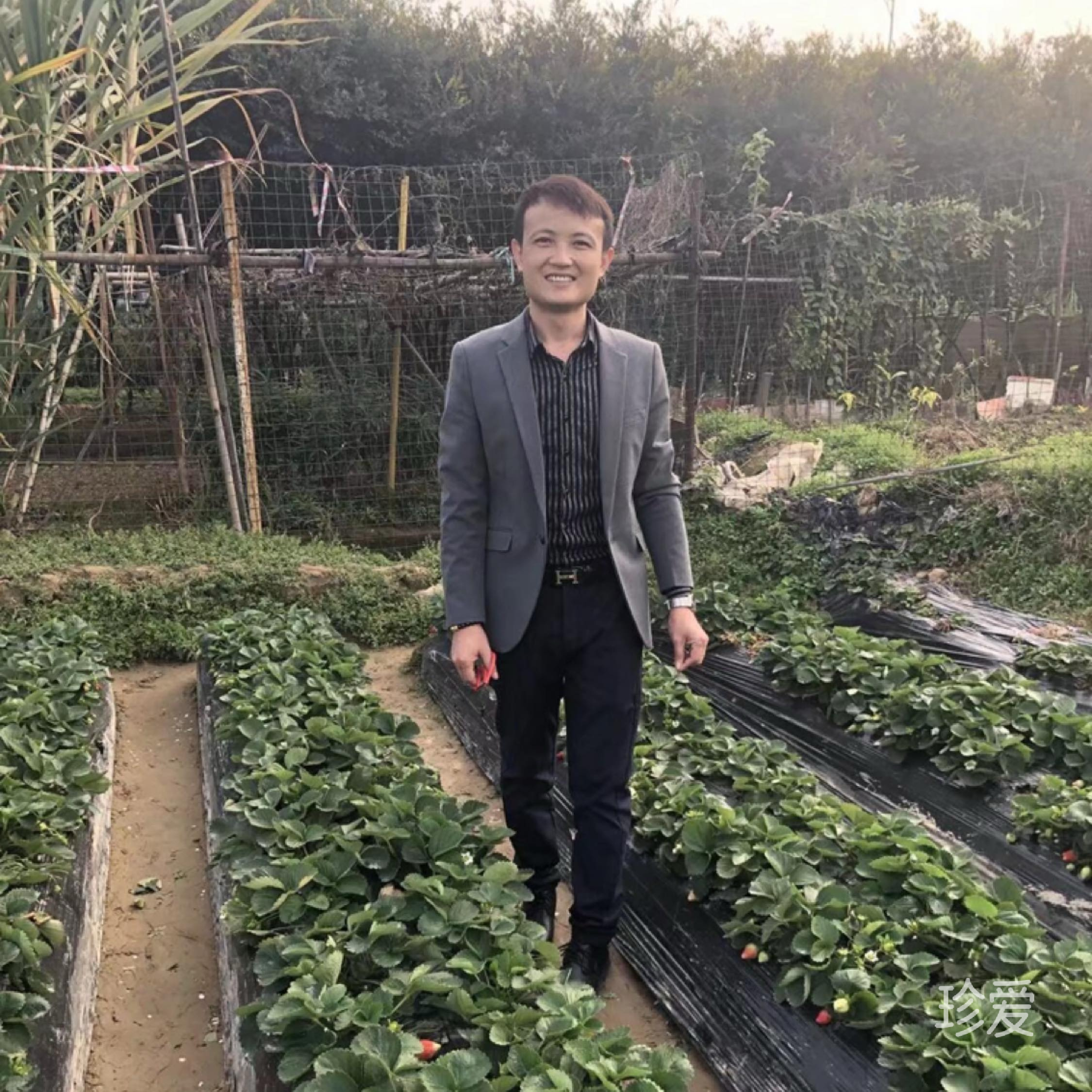 小板凳