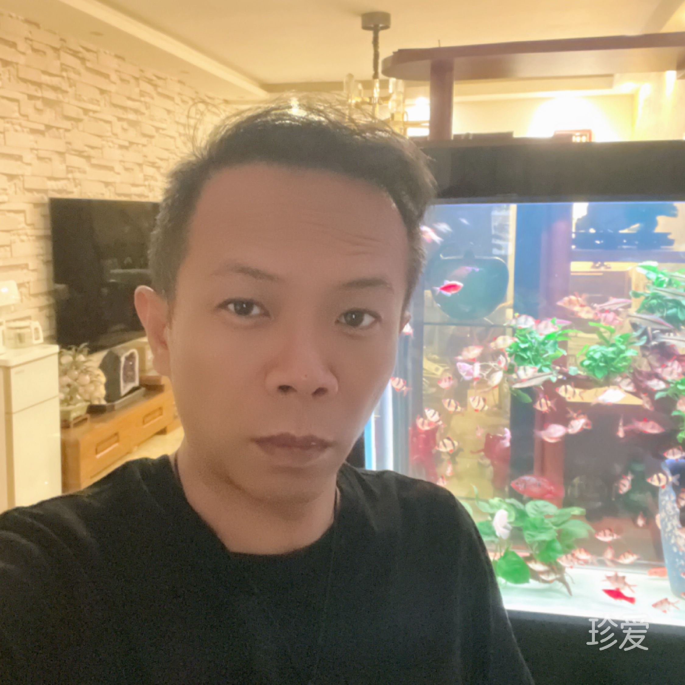 庚鑫