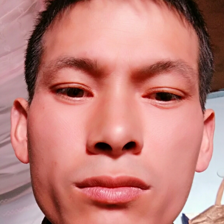 你是夢(mèng)我不碰