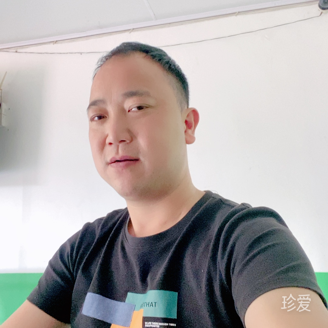 放飞的风争