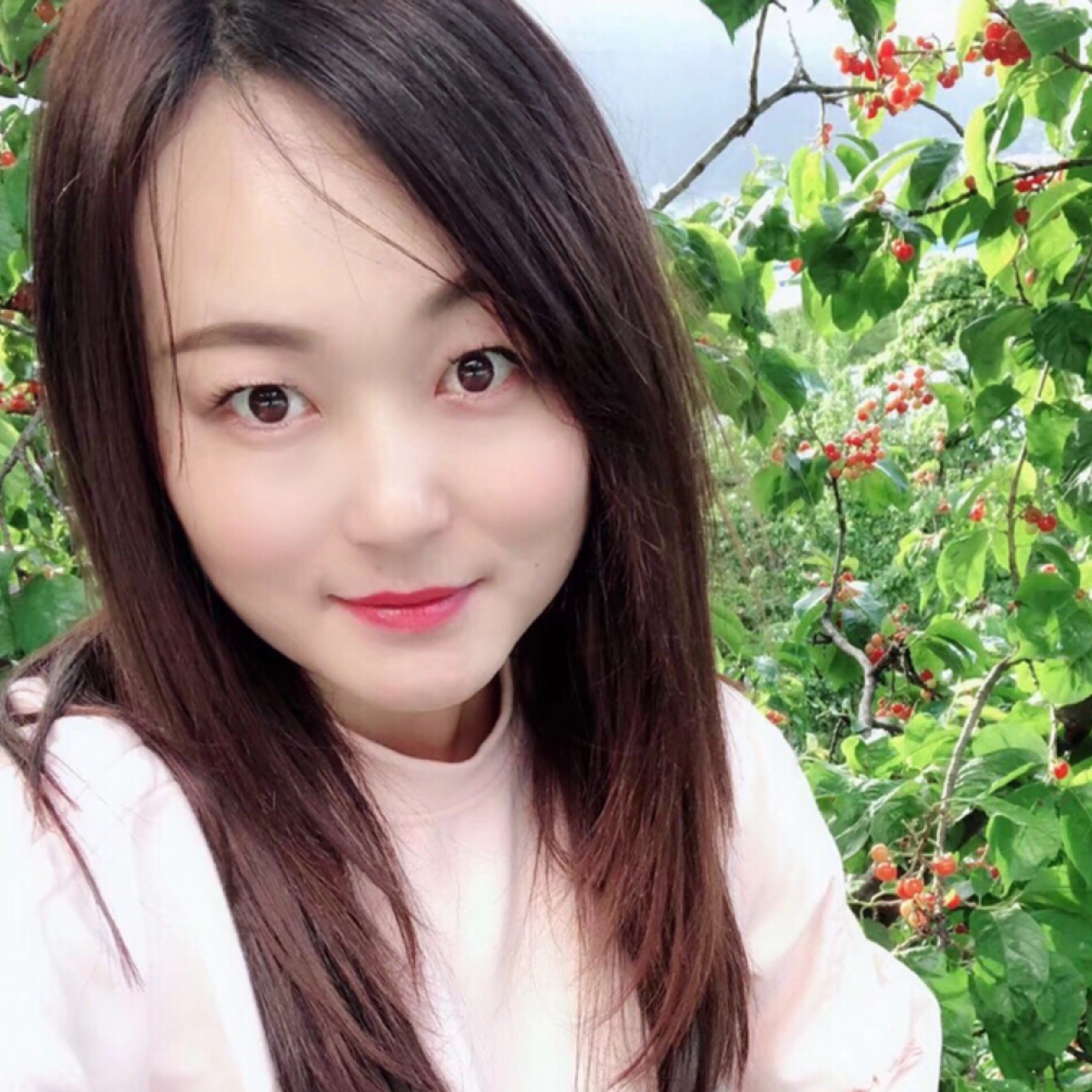 擁有小太陽的向日