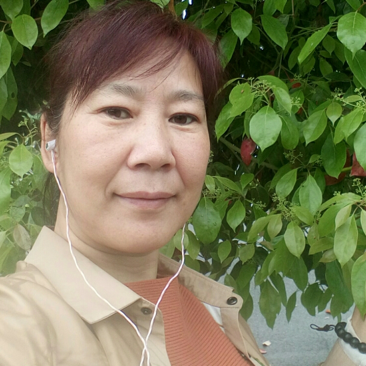 漂泊在水中的一片子