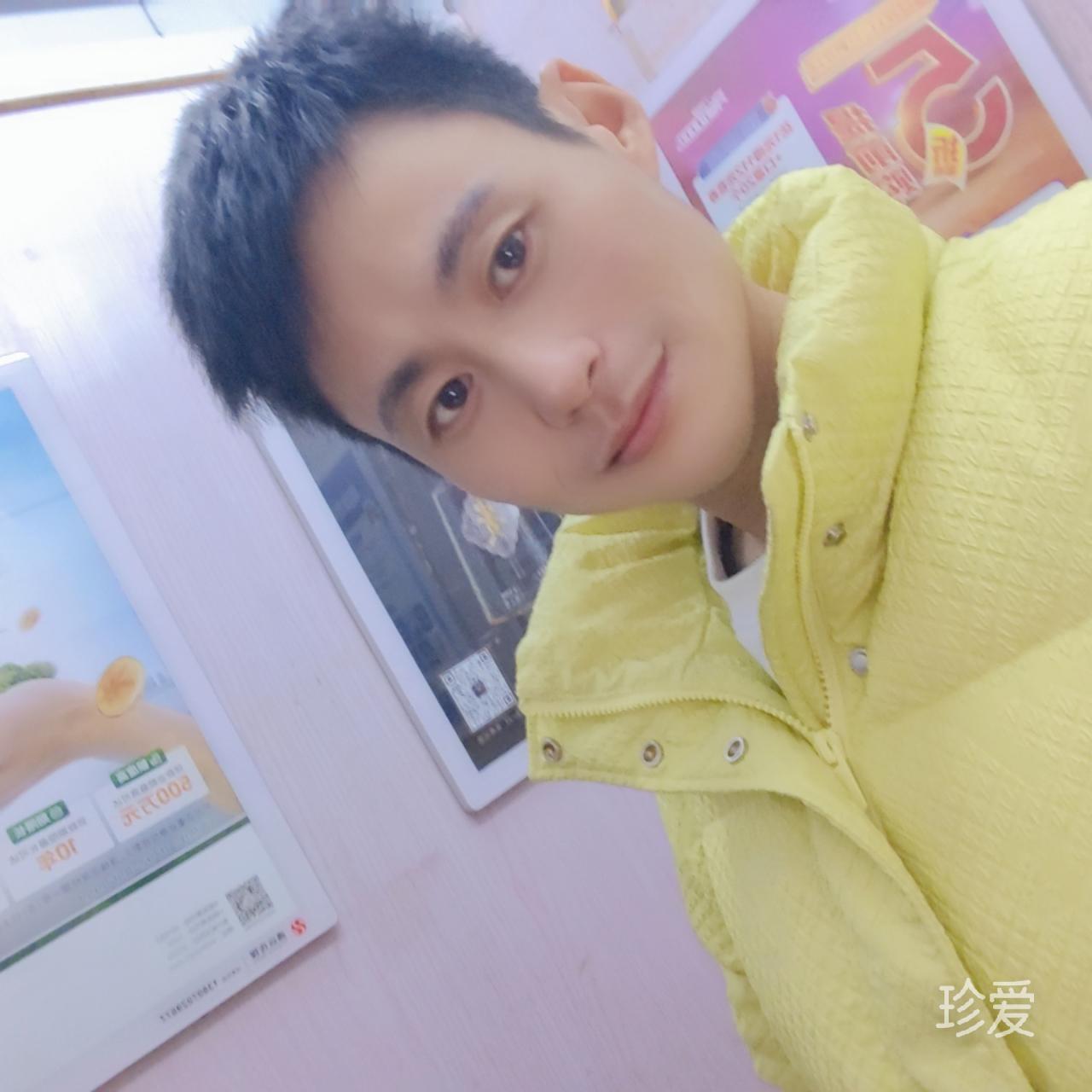 人生若只如初見