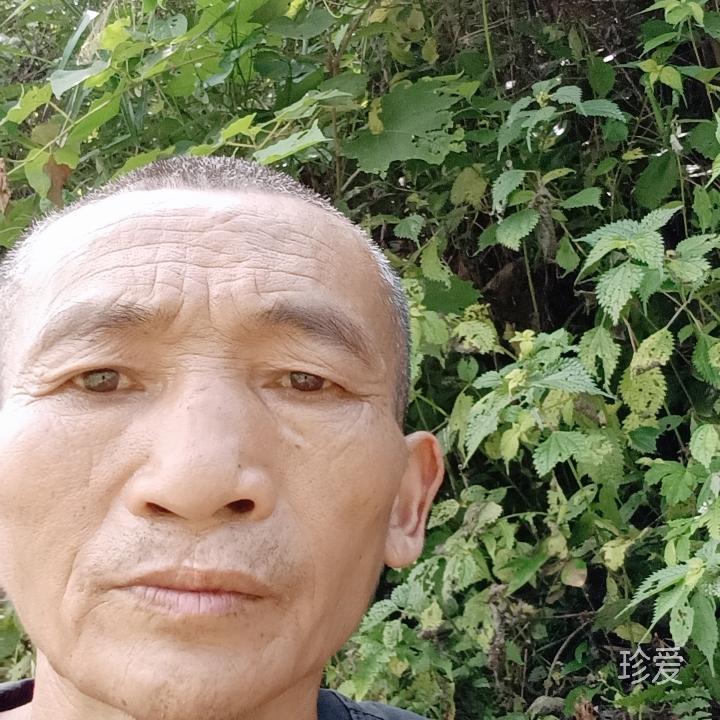 黑土