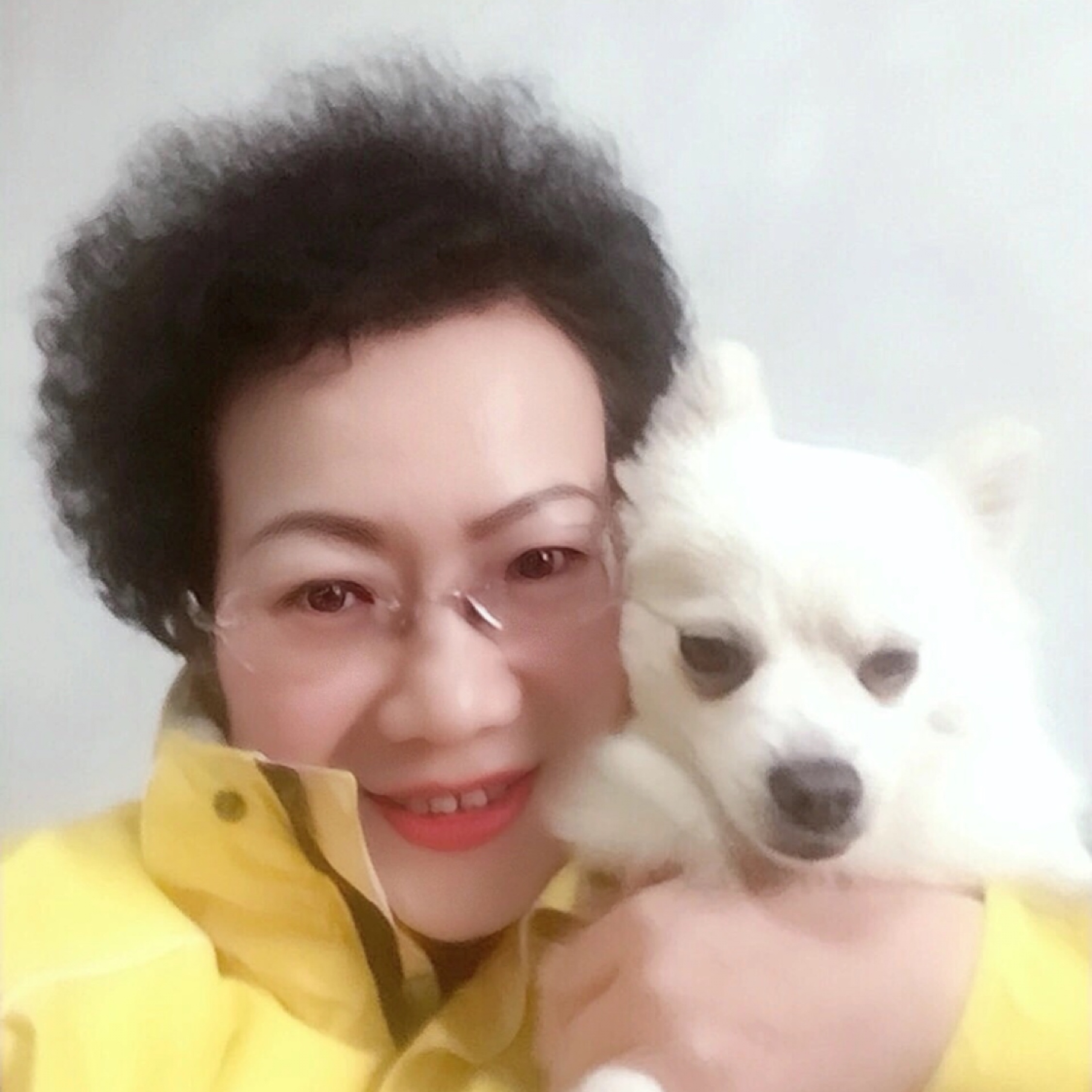 開(kāi)心向日葵