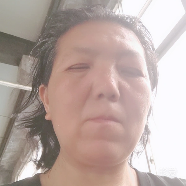 傲雪寒梅為君開