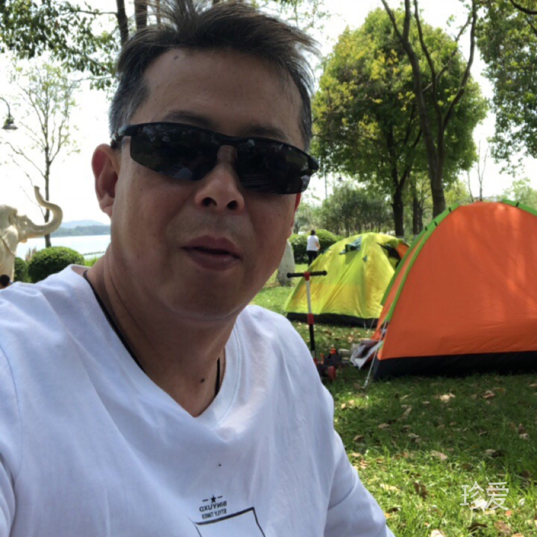 会员如初的阳光