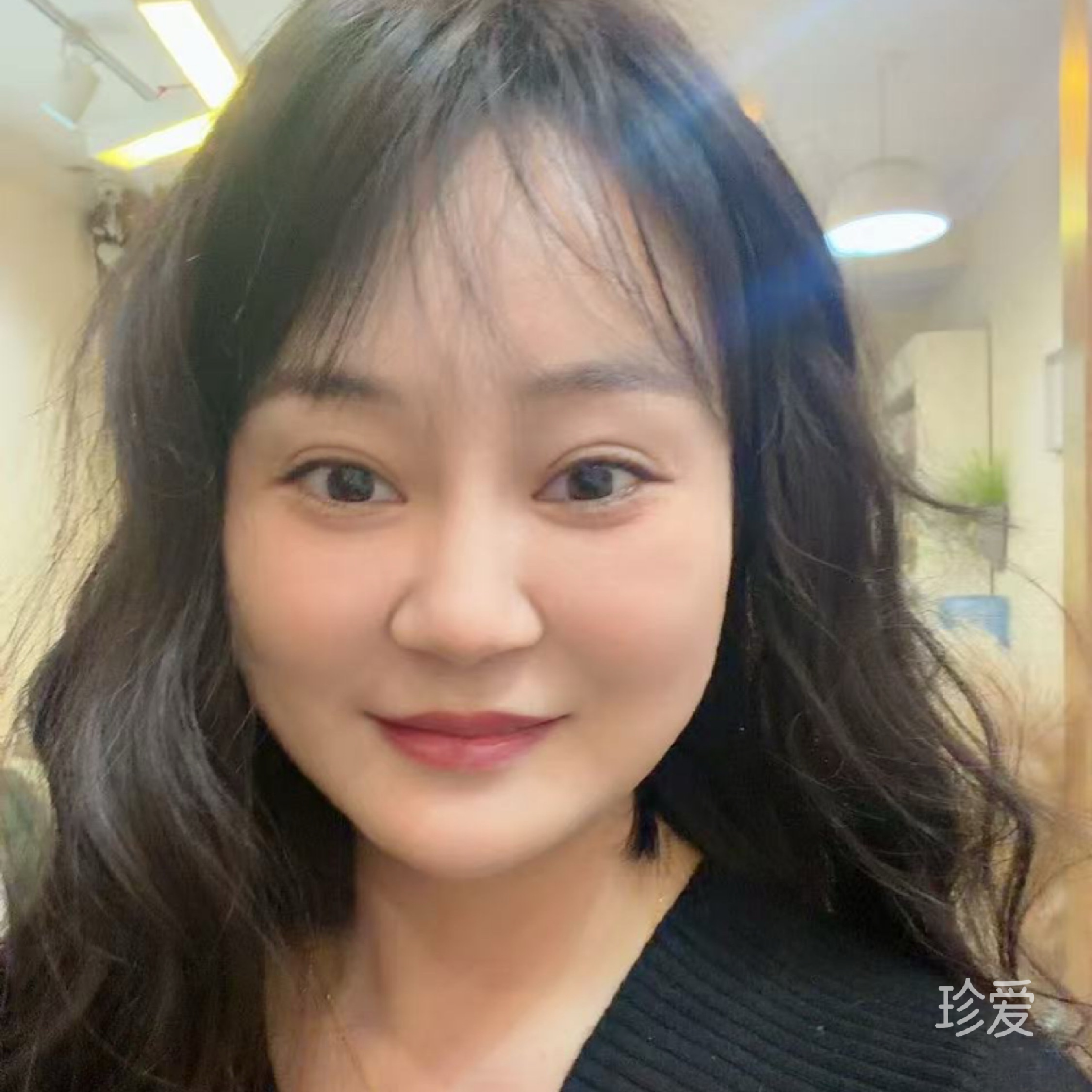 凤3113