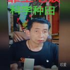 月上月光
