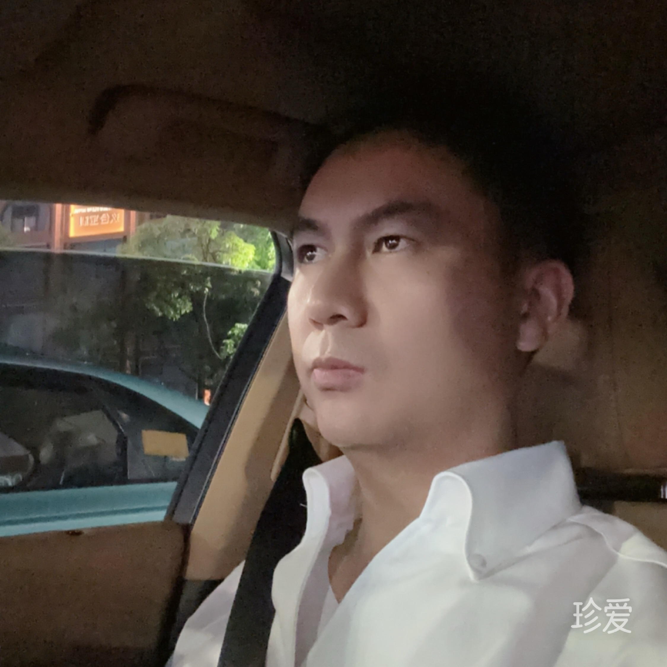 一枕浮生