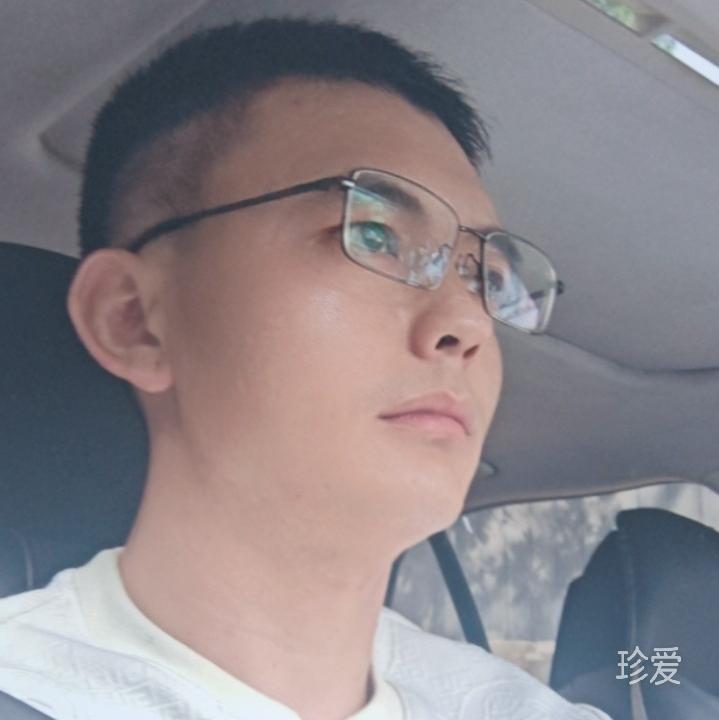 会飞的鱼
