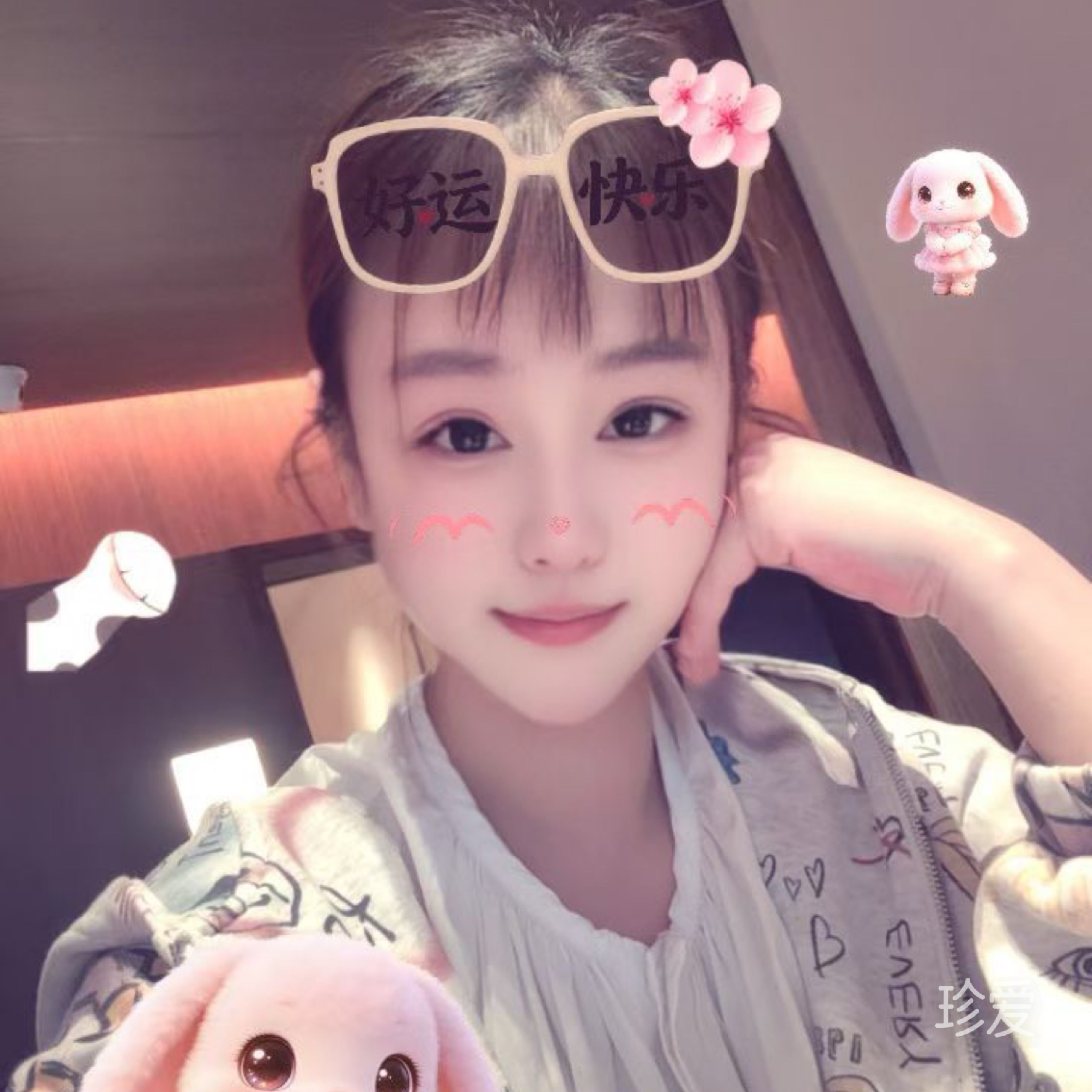 猫猫