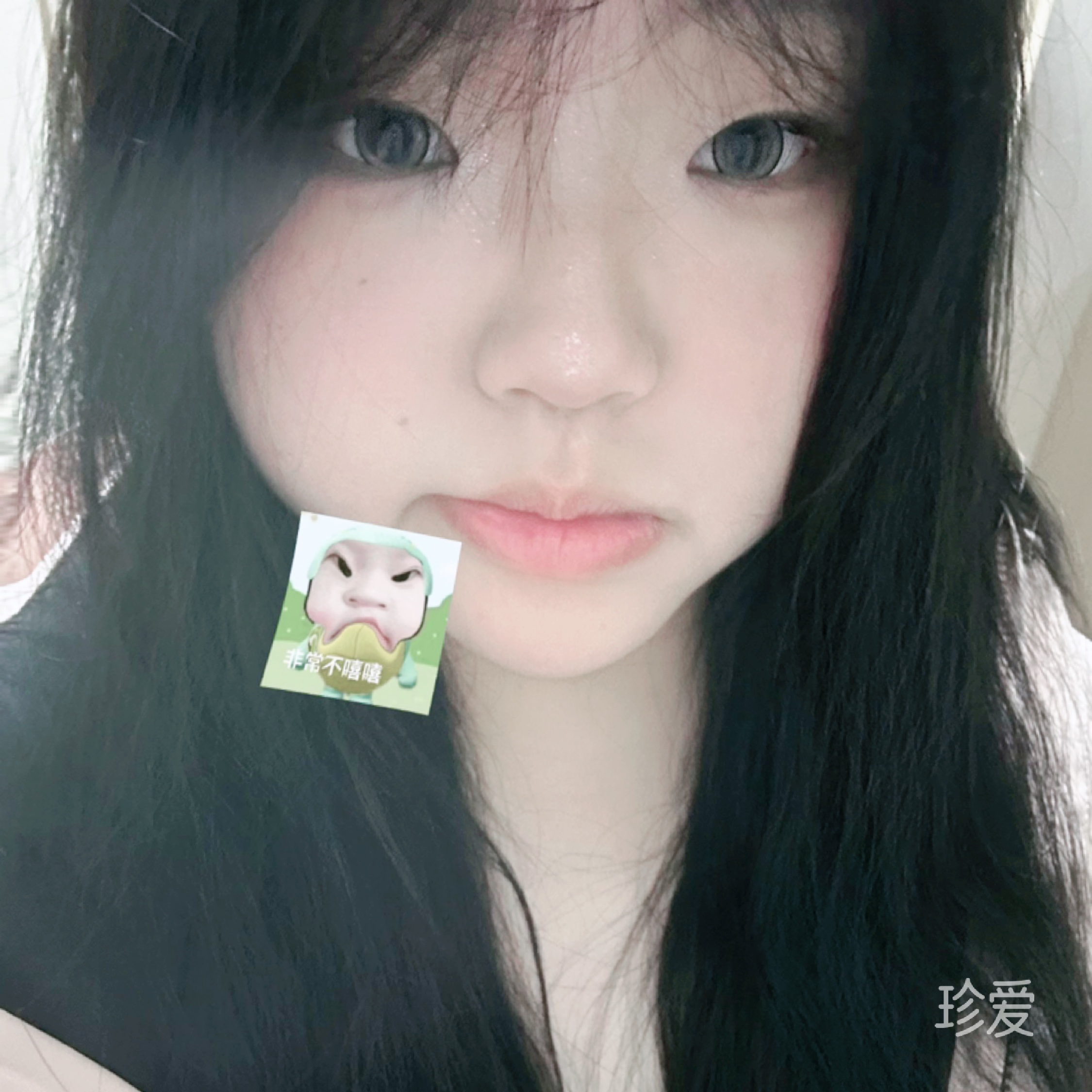 派小冉