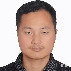 白杨树