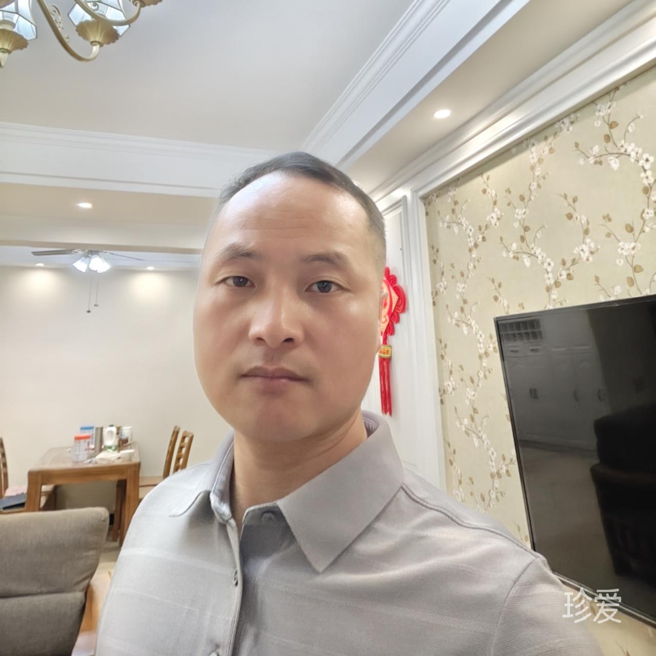 白杨树