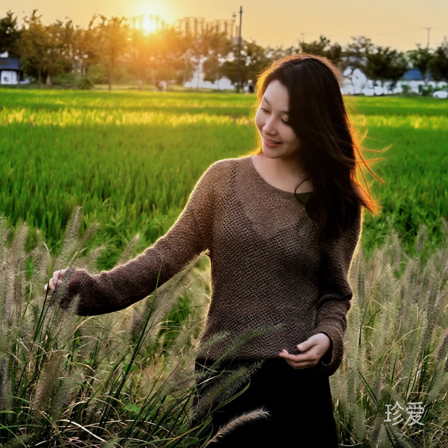 新柔