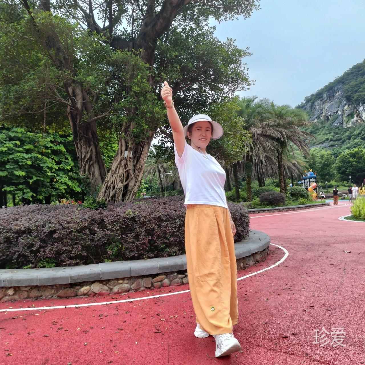 菜菜