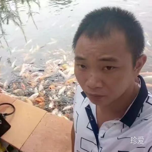 颠沛流离只为遇见你