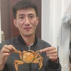 左手缺個人