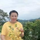 尋找半生緣
