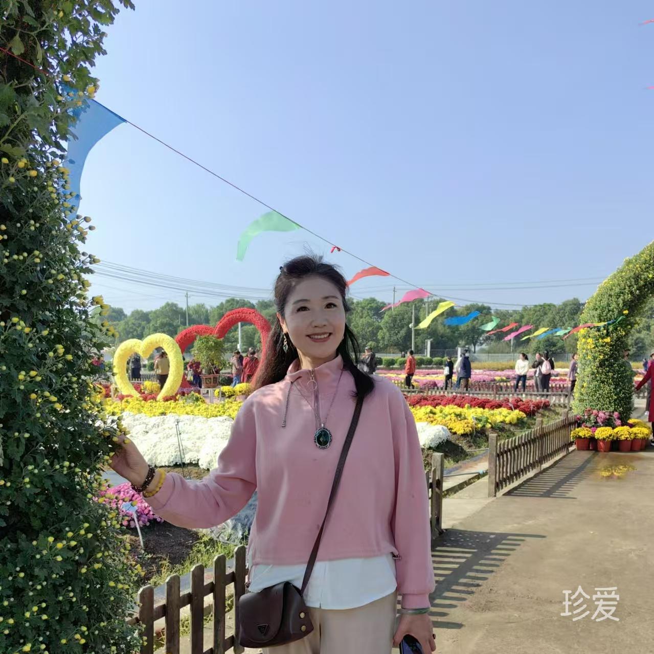忆偌梦