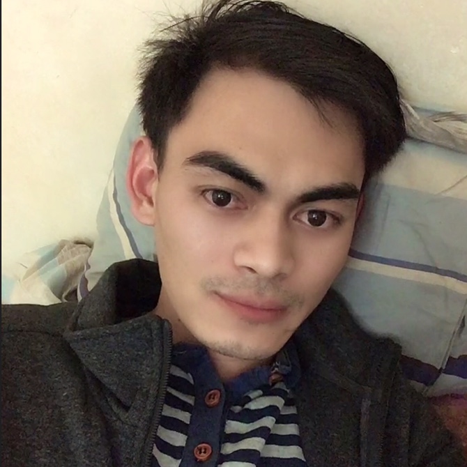 阳光不懂向日葵