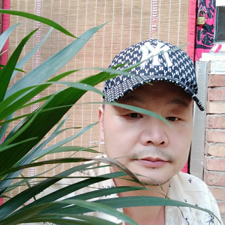 等待千年的男生