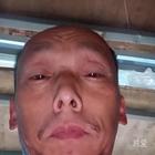 華爾騎士