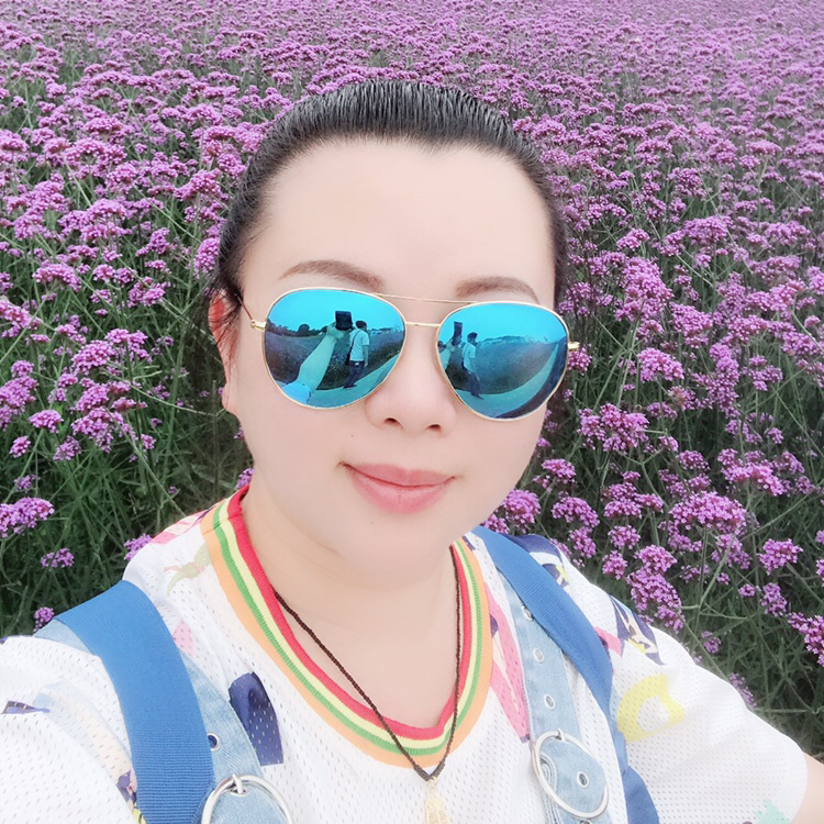 文静的鱼