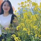 芷蕊