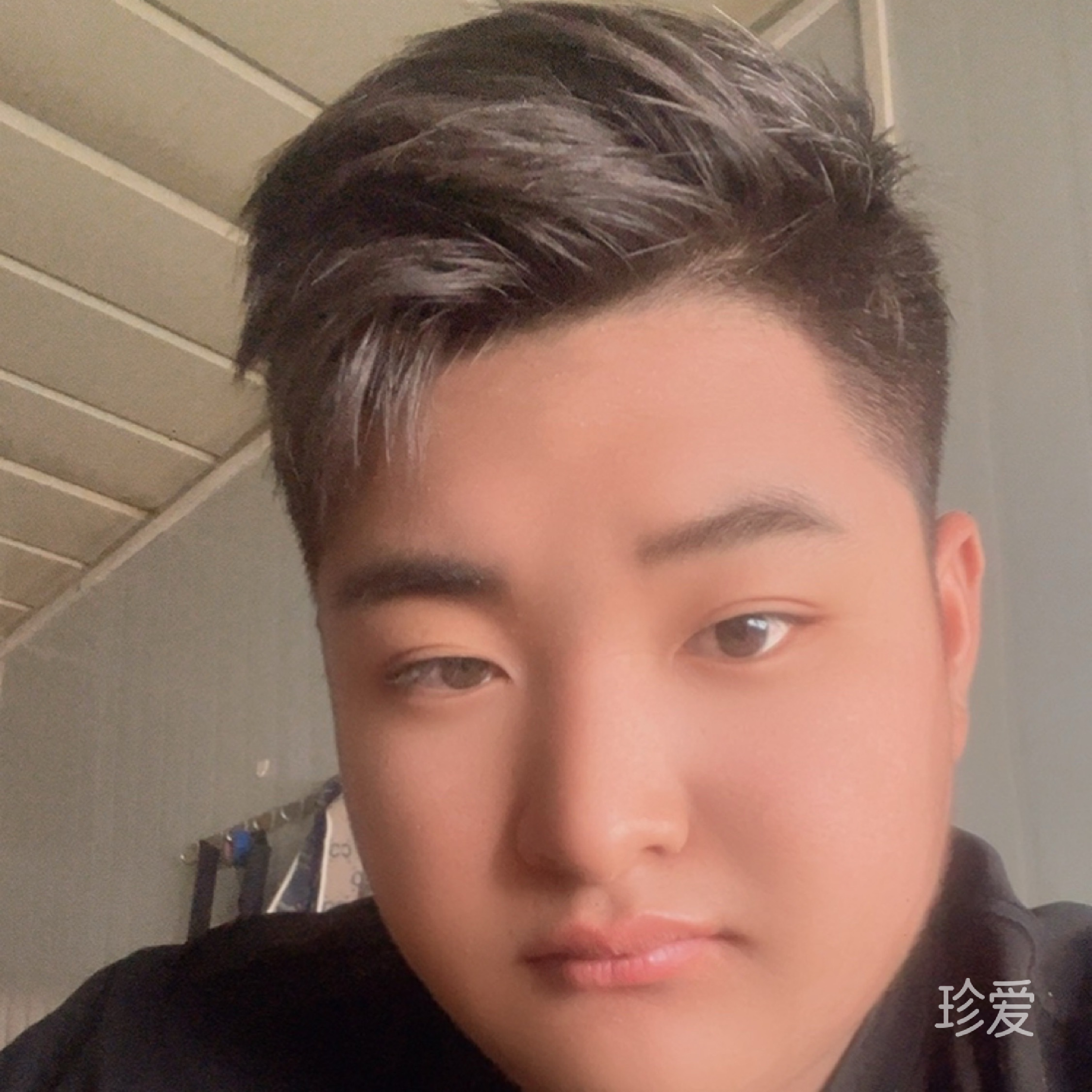 涛子