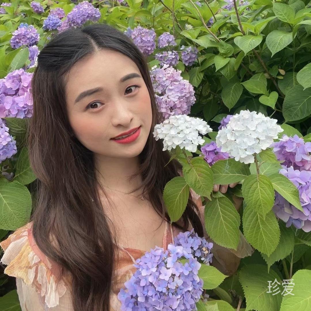 一只简单快乐的羊