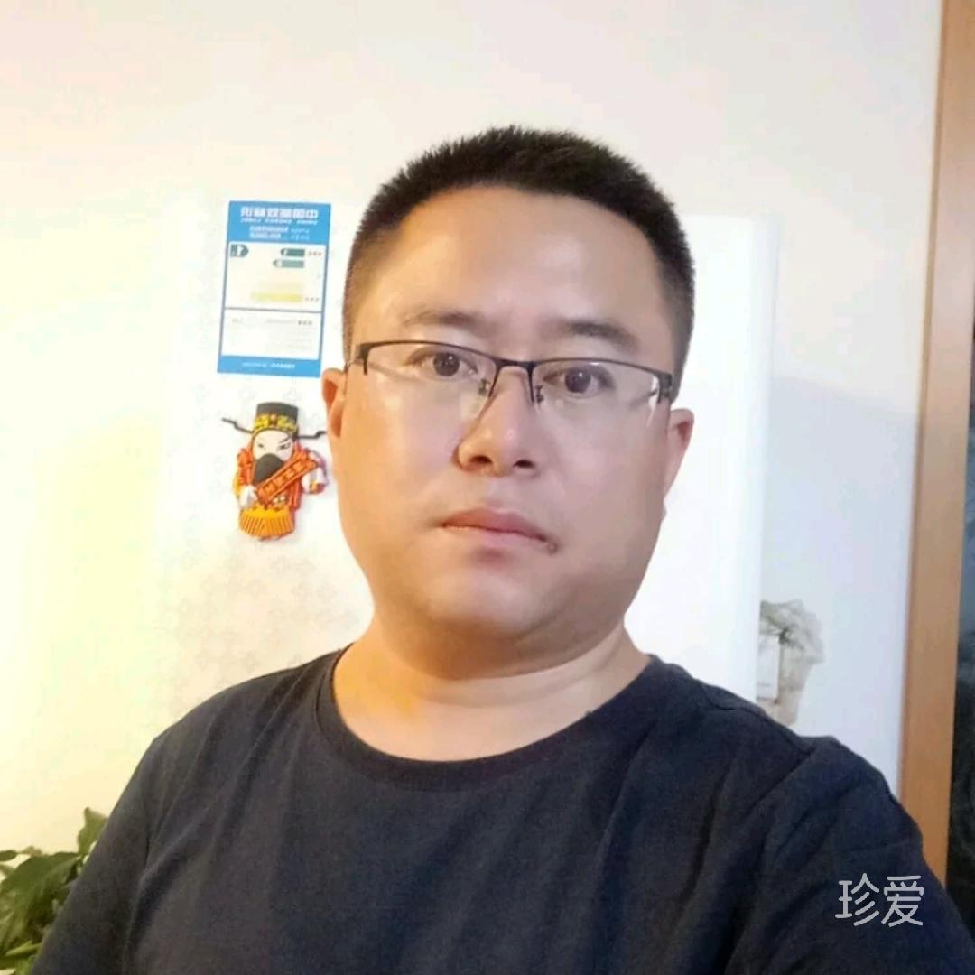 穿过树丛的阳光