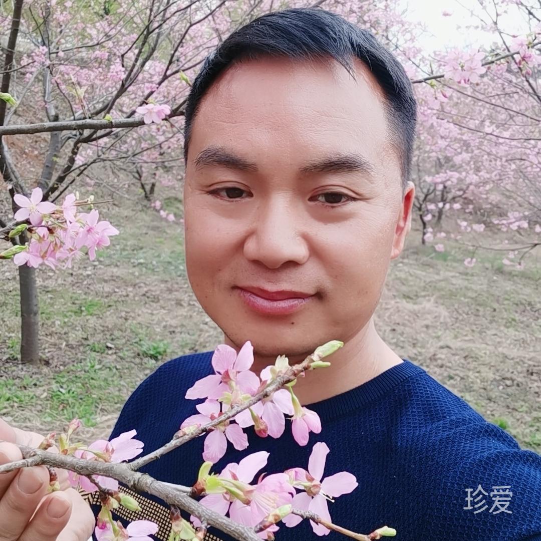 等愛(ài)的草根