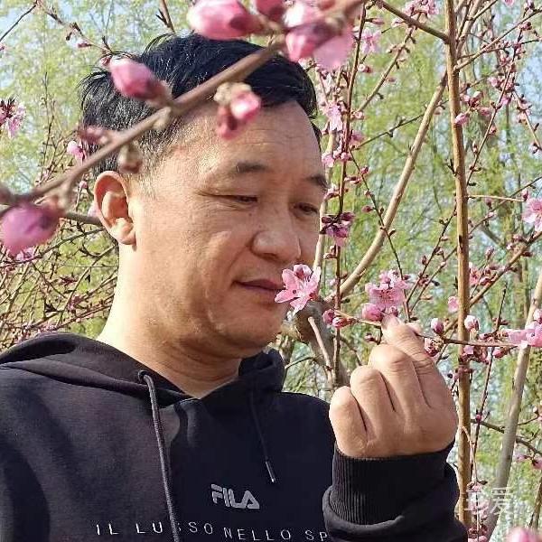 简单人生